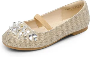 DREAM PAIRS Girls Ballet Flats Flower Shoes Mary Jane Ballerina Flat Dress Shoes for Daily/Wedding/Party